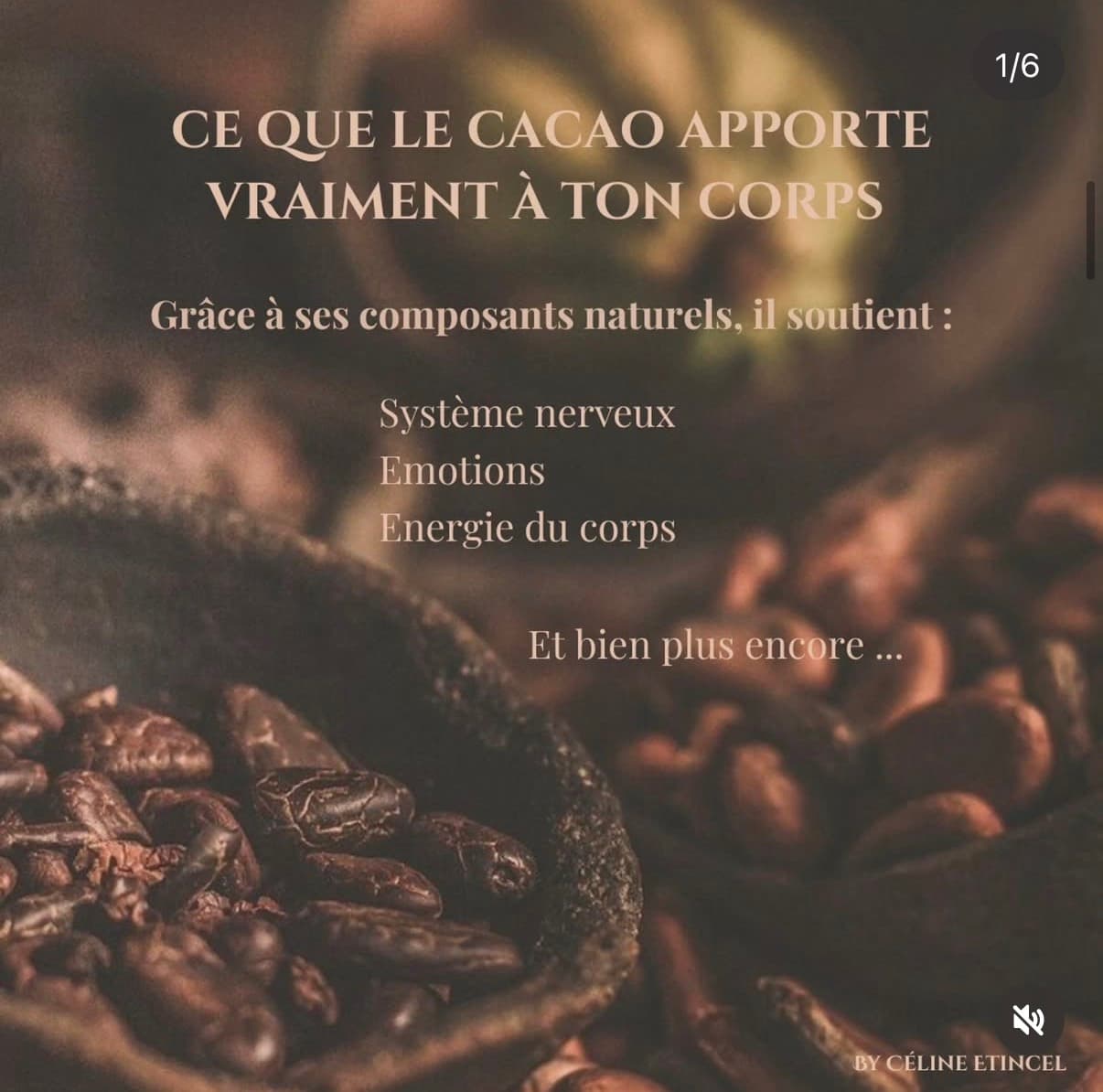 Ce que le cacao apporte vraiment à ton corps, fèves de cacao